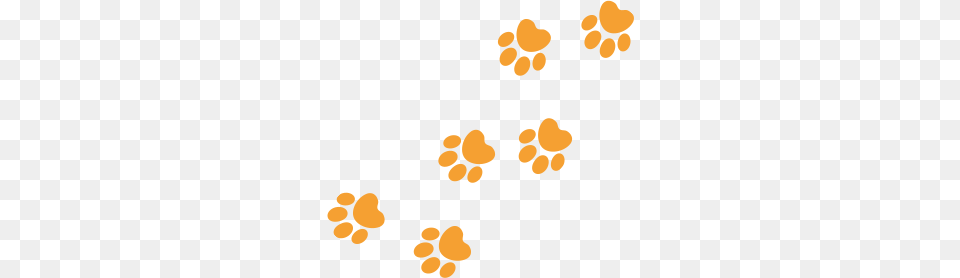 Razas De Perro, Texture Free Png