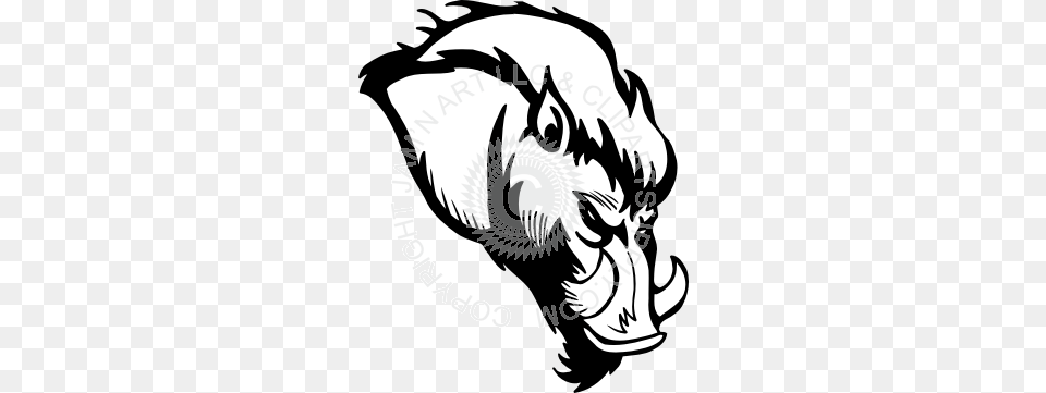 Razorback Head Looking Down, Adult, Male, Man, Person Free Png