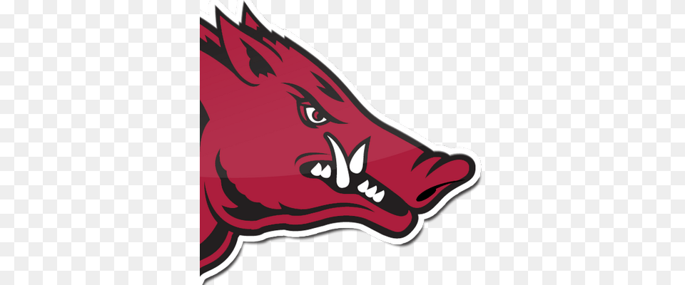 Razorback Sportpsych On Twitter Join Us For Some Yoga Tonight, Animal, Hog, Mammal, Pig Png Image