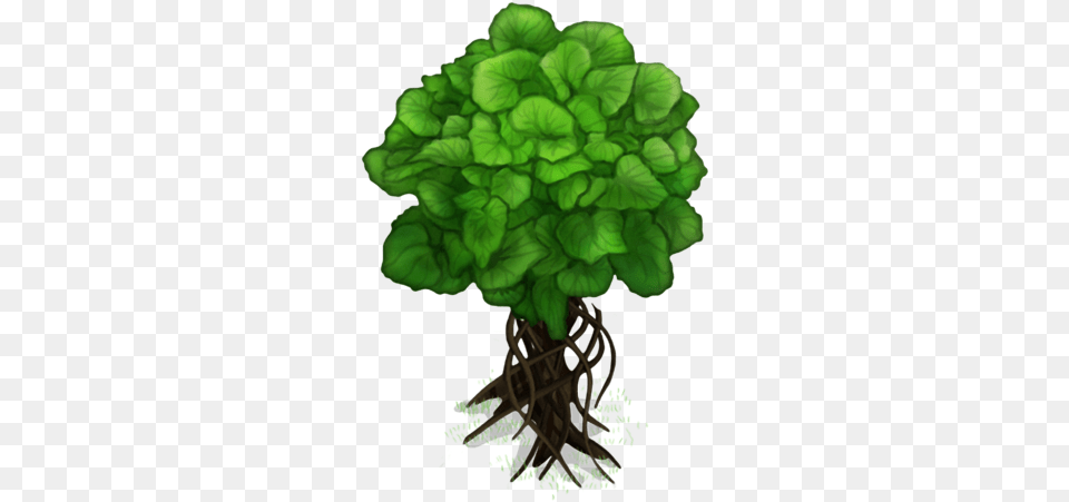 Razzli Tree My Singing Monsters Wiki Fandom Root, Green, Plant, Moss, Vegetation Free Png
