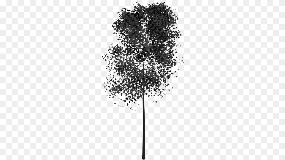 Rbol 3ds Max Bloques Plane Tree Family, Plant, Maple, Art Free Png Download