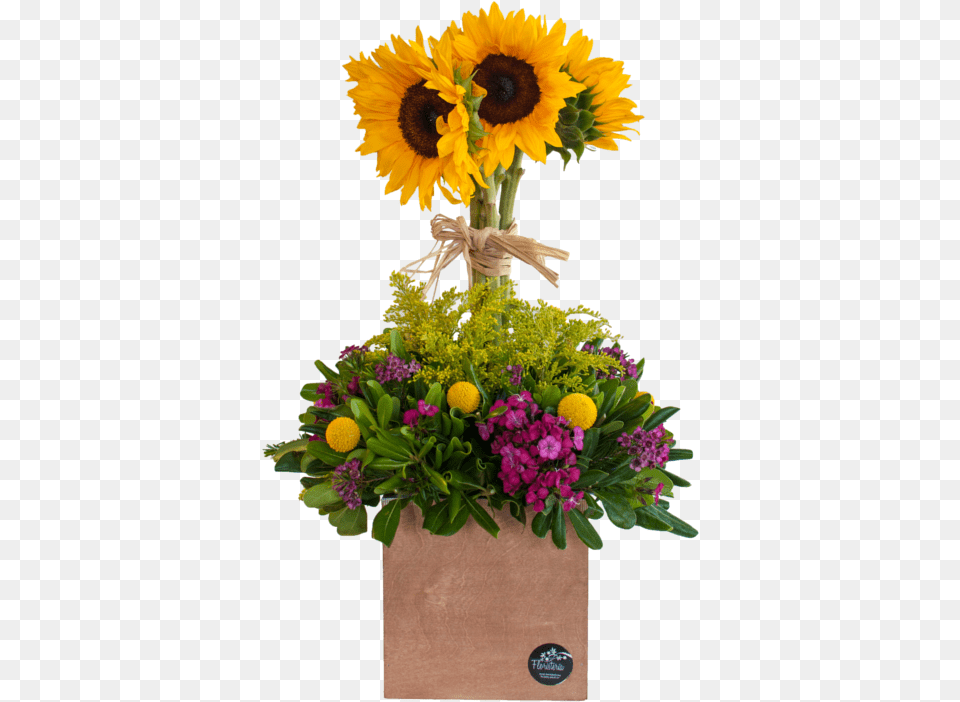 Rbol De Girasoles Sunflower, Plant, Flower, Flower Arrangement, Flower Bouquet Free Transparent Png