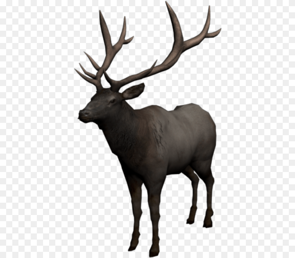 Rdr 2 Wapiti, Animal, Deer, Elk, Mammal Png Image