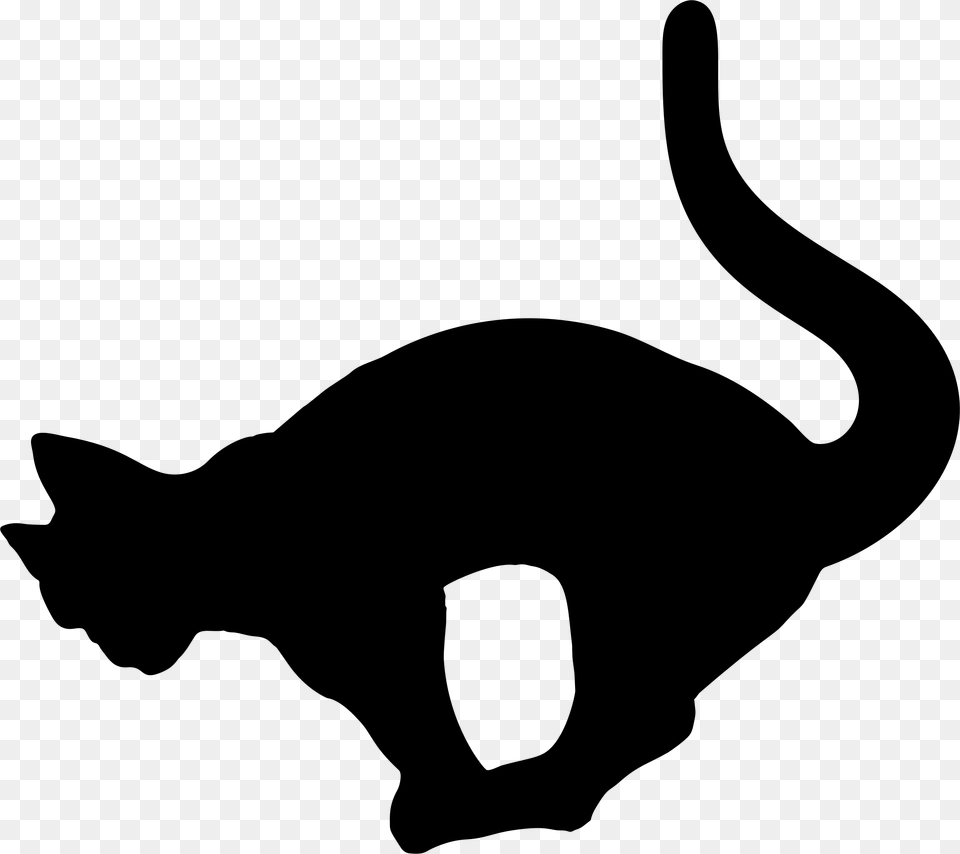 Reaching Cat Portable Network Graphics, Gray Png