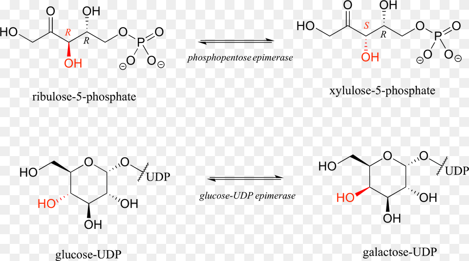 Reaction Of Chiral Molecules Pdf, Nature, Night, Outdoors, Text Free Png Download