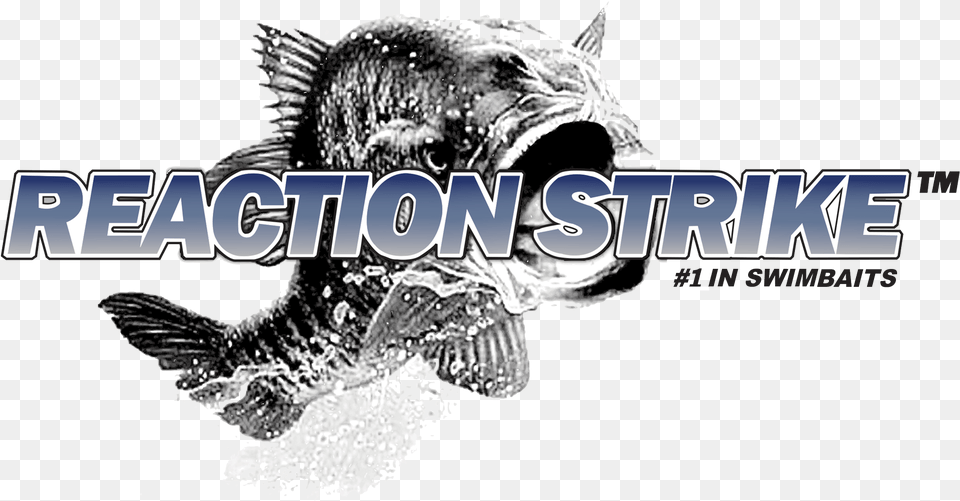 Reaction Strike, Animal, Beak, Bird, Baby Png