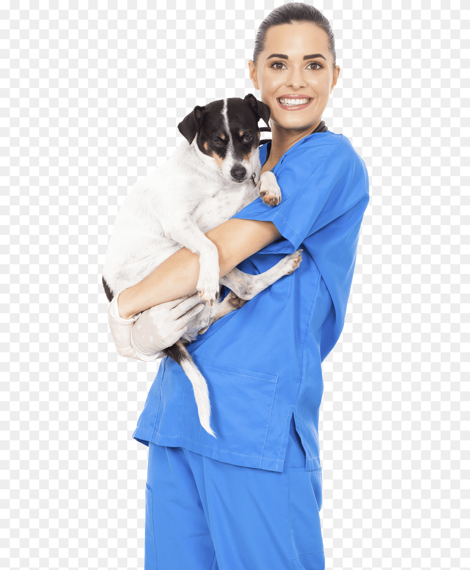 Read More Veterinary And Dog, Doctor, Person, Veterinarian, Adult Free Transparent Png