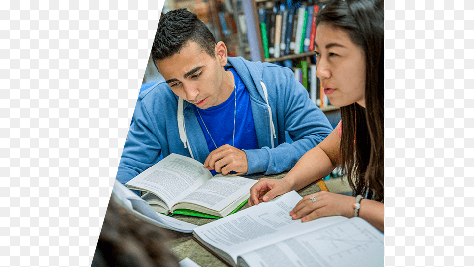 Reading Download Students Studying, Person, Male, Girl, Female Png Image