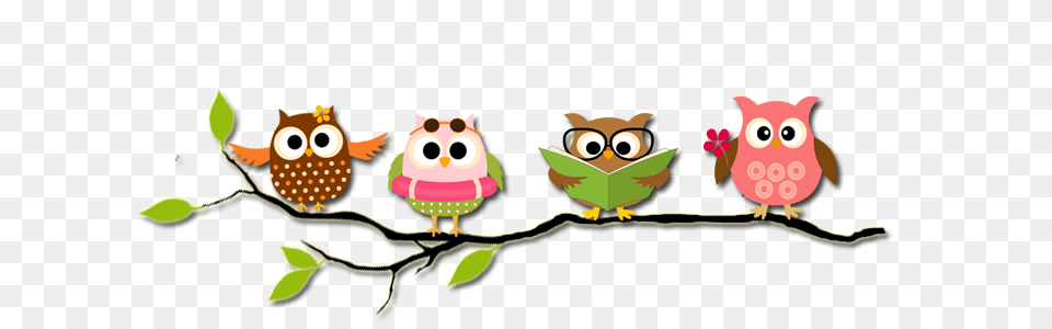 Reading Owl Two Sided Decoration Grade Pk Carson Dellosa, Pattern, Animal, Bird, Art Free Png Download