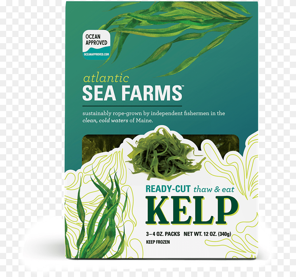 Ready Cut Kelp Kelp Smoothie, Herbal, Herbs, Plant, Seaweed Free Png Download
