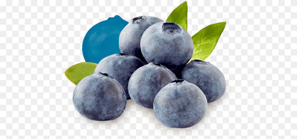 Ready For Recipe Inspiration Driscoll39s Blueberry, Berry, Food, Fruit, Plant Free Png Download