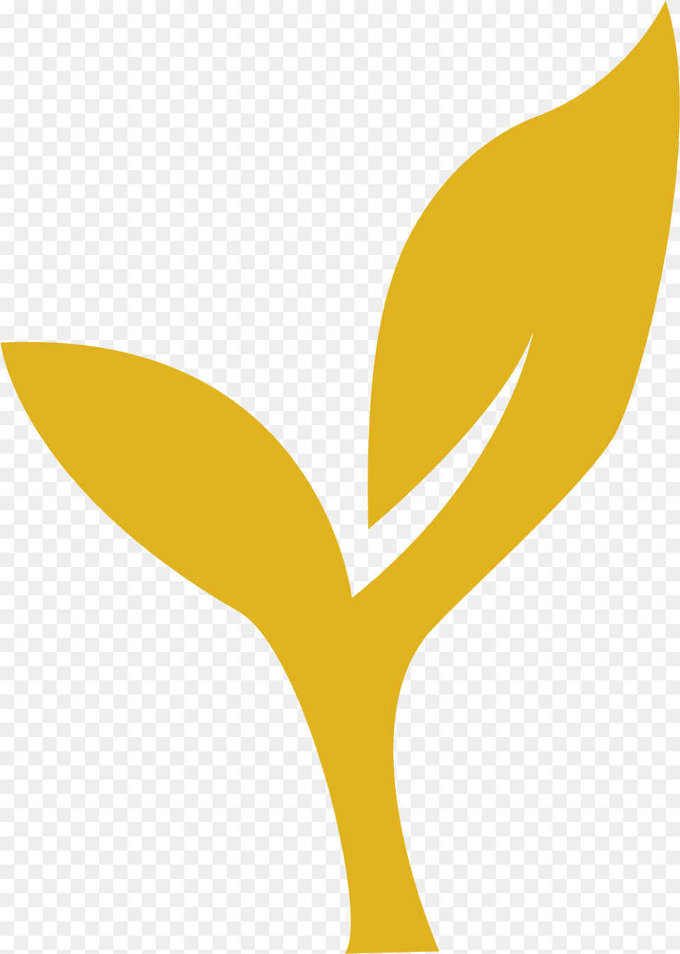 Ready To Grow Gold Nitro Instagram, Symbol Free Png Download