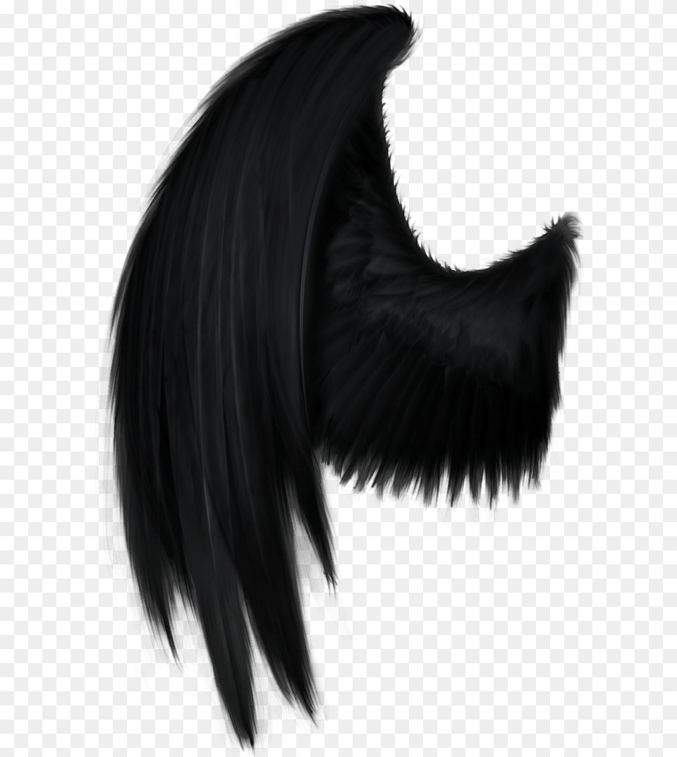 Real Angel Wings Black Angel Wings, Adult, Female, Person, Woman Free Transparent Png