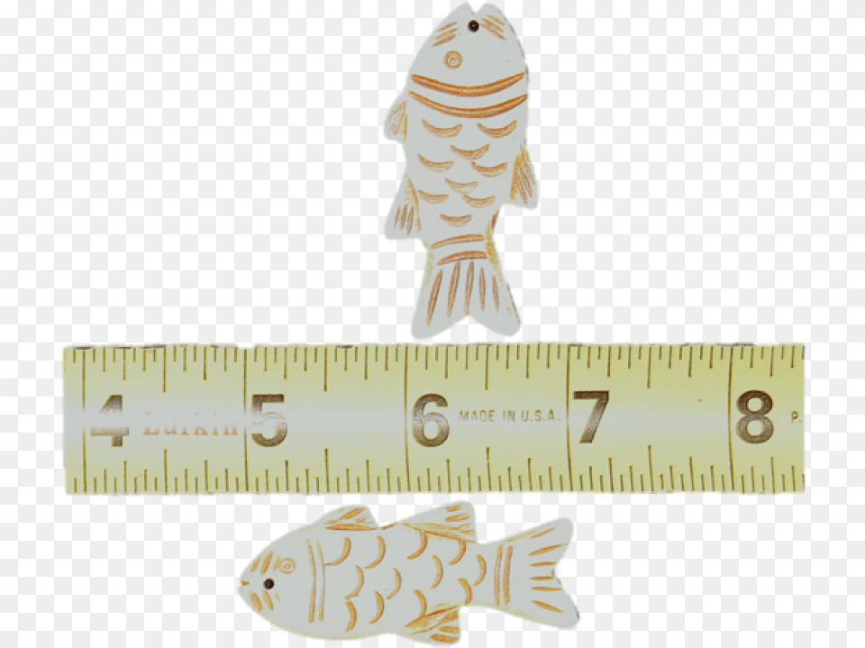 Real Bone Carved Fish Ruler, Animal, Baby, Person, Sea Life Free Png Download