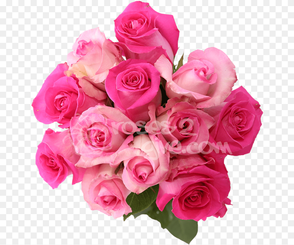 Real Bouquet Transparent Clipart Floribunda, Flower, Flower Arrangement, Flower Bouquet, Plant Free Png Download