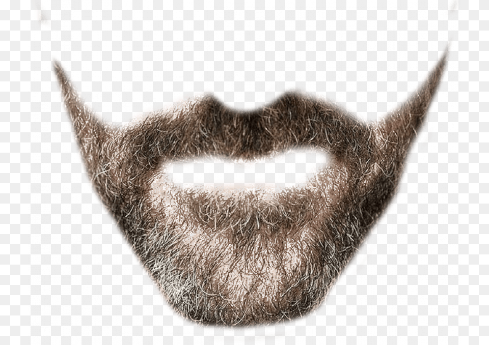 Real Brown Beard Clipart Beard Transparent Background, Face, Head, Person, Mustache Free Png
