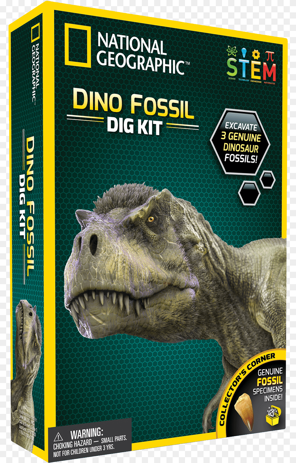 Real Dinosaur Fossil Dig Kit National Geographic Dino Fossil Dig Kit, Animal, Reptile, T-rex, Fish Free Png Download