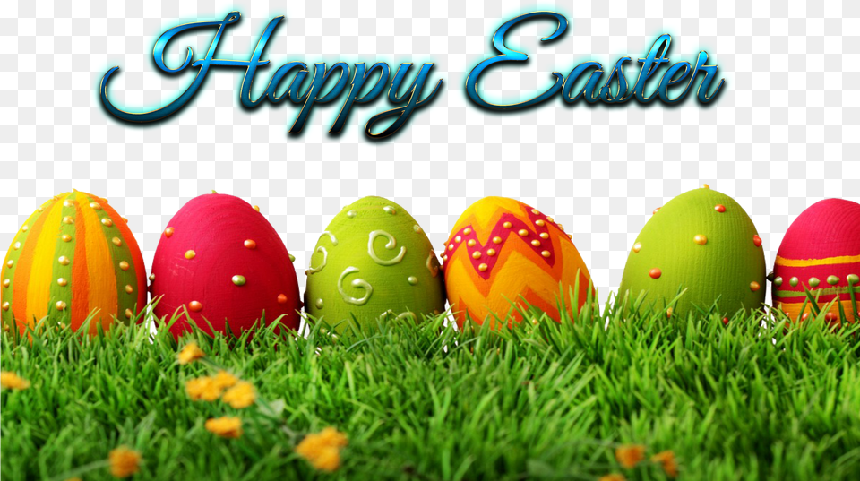 Real Easter Eggs Jpg Stock, Fungus, Plant, Easter Egg, Egg Free Transparent Png