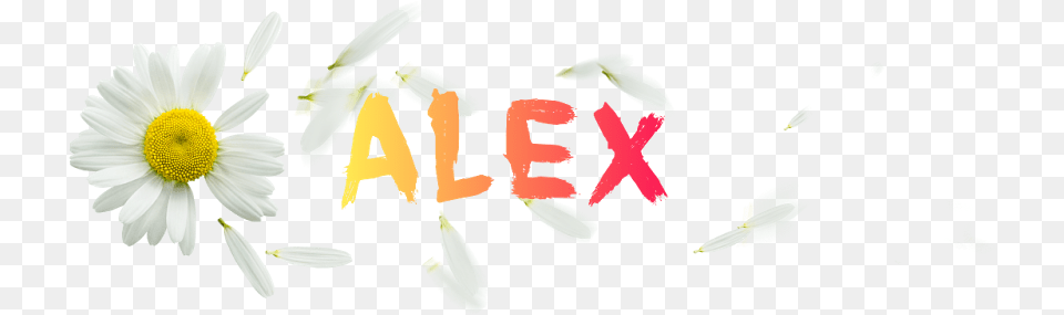 Real Editor Alex Flower Logo Camomile, Anther, Daisy, Petal, Plant Png