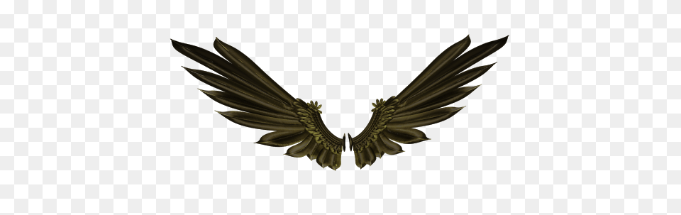 Real Editors Bird Wings, Animal, Vulture Free Transparent Png