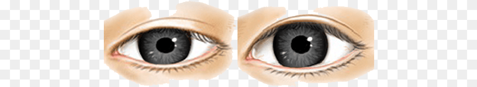 Real Eye Clipart Real Eye, Contact Lens, Animal, Fish, Sea Life Png Image