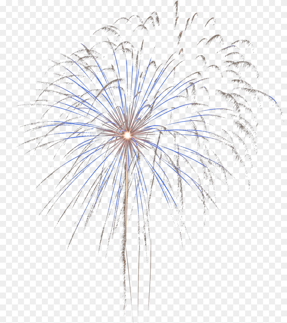 Real Fireworks, Plant Free Png Download