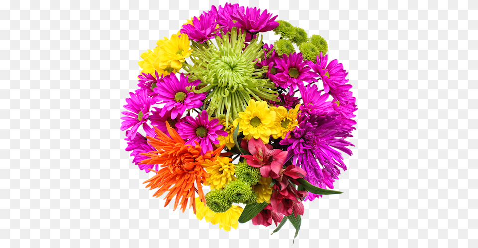 Real Flowers 3 Image Beautiful Fresh Flower, Art, Pattern, Graphics, Flower Bouquet Free Png Download