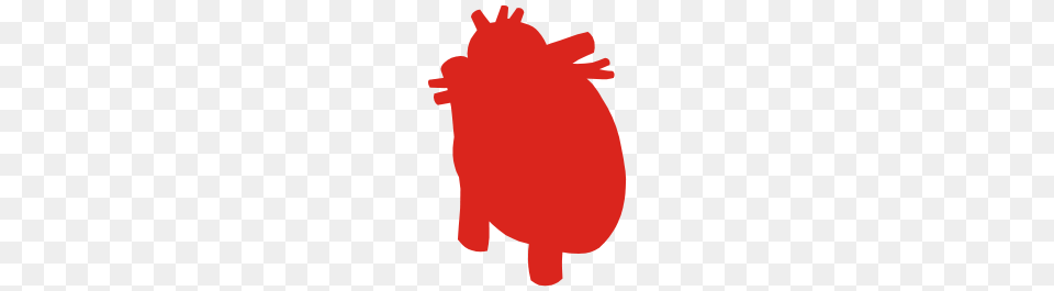Real Heart, Baby, Person Free Png
