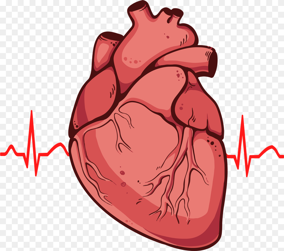 Real Heart Real Heart Body Part, Mouth, Person, Tongue Free Transparent Png