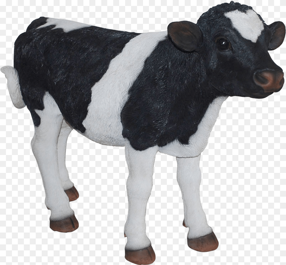 Real Life Cow Farm Animals, Animal, Cattle, Livestock, Mammal Free Png