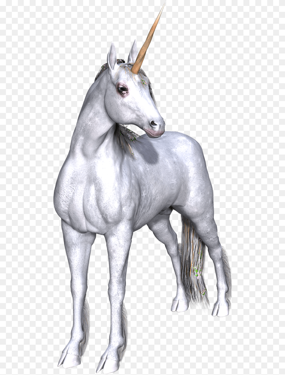 Real Life Unicorn, Animal, Horse, Mammal Png Image