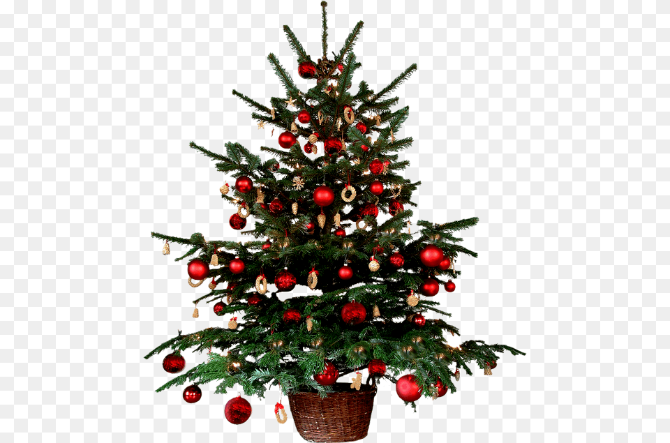 Real Look Xmas Tree, Plant, Christmas, Christmas Decorations, Festival Free Png Download