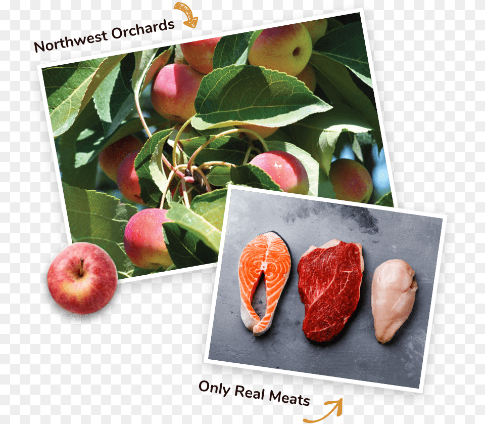 Real Meats And Fruits Apple, Food, Fruit, Plant, Produce Free Transparent Png