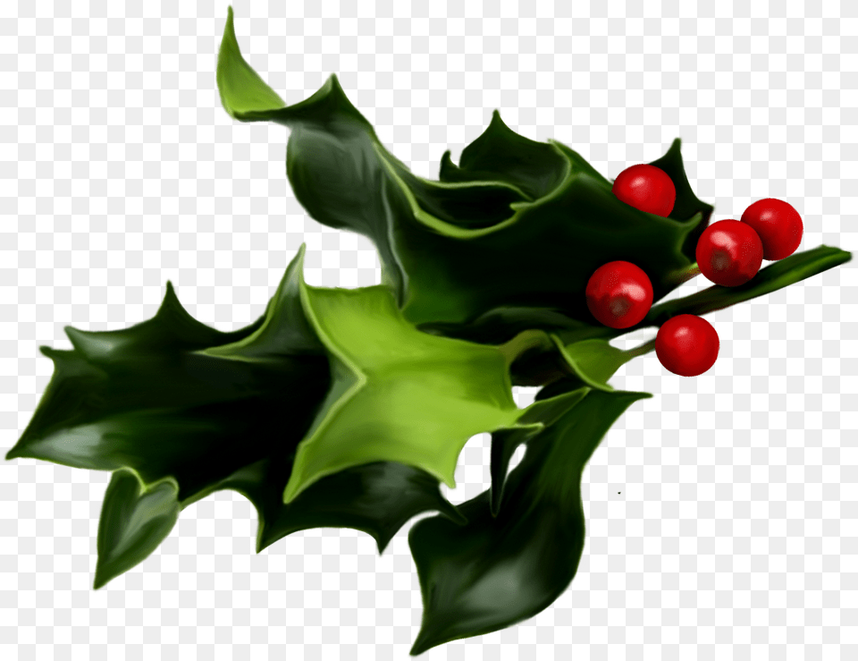 Real Mistletoe, Leaf, Plant, Food, Fruit Free Png Download