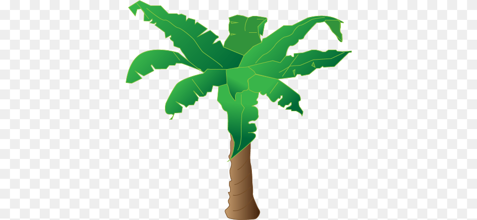 Real Palm Tree Tree Tumblr Banana Tree Plantas De Banano Dibujo, Leaf, Palm Tree, Plant, Green Png Image
