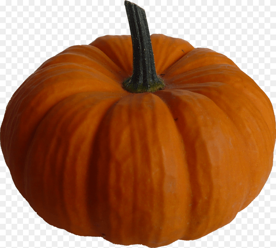 Real Pumpkin, Food, Plant, Produce, Vegetable Free Png