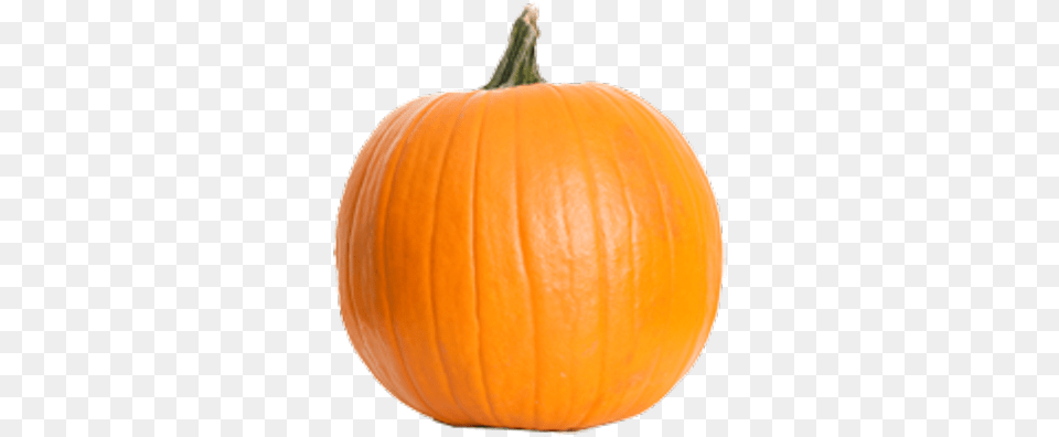 Real Pumpkin Pumpkin Fruit, Food, Plant, Produce, Vegetable Png