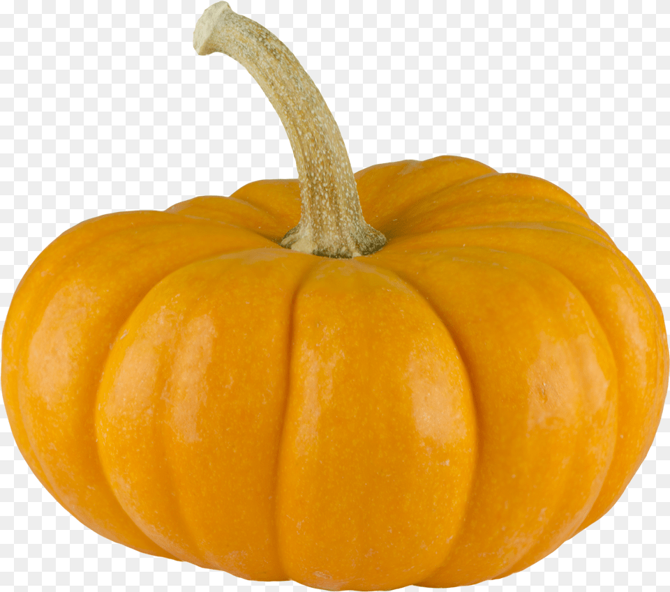 Real Pumpkin Transparent Background Pumpkin, Food, Plant, Produce, Vegetable Free Png Download