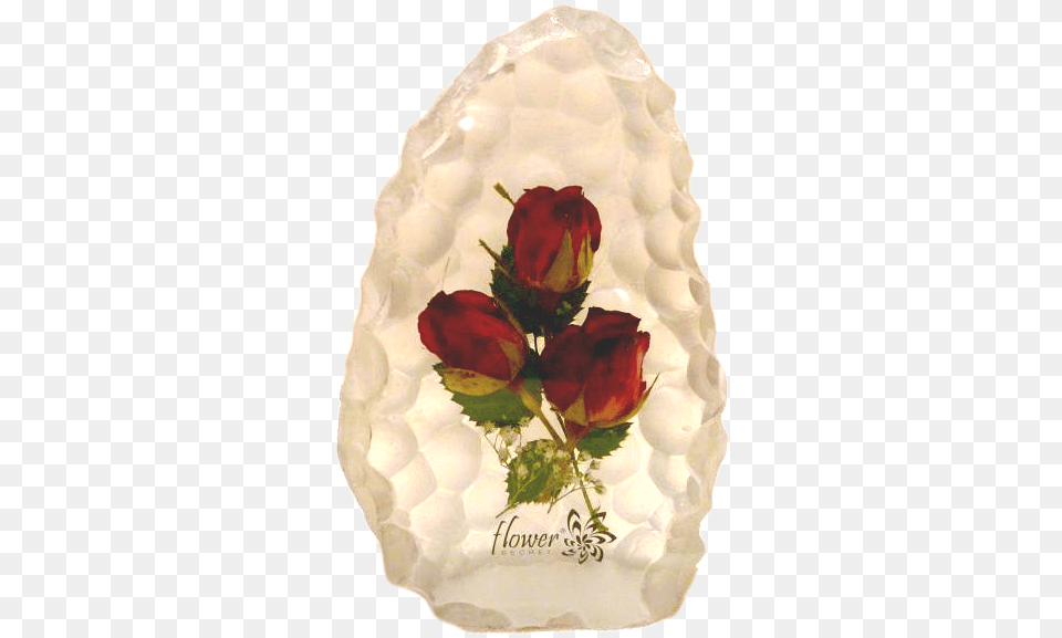 Real Rose In Resin Garden Roses, Flower, Plant, Pottery, Art Free Png Download