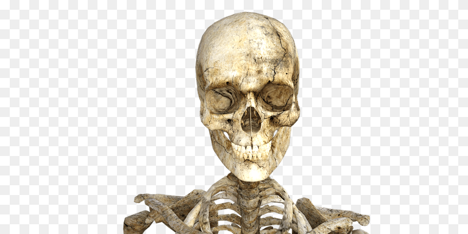 Real Skeleton Halloween, Person, Face, Head, Alien Png Image