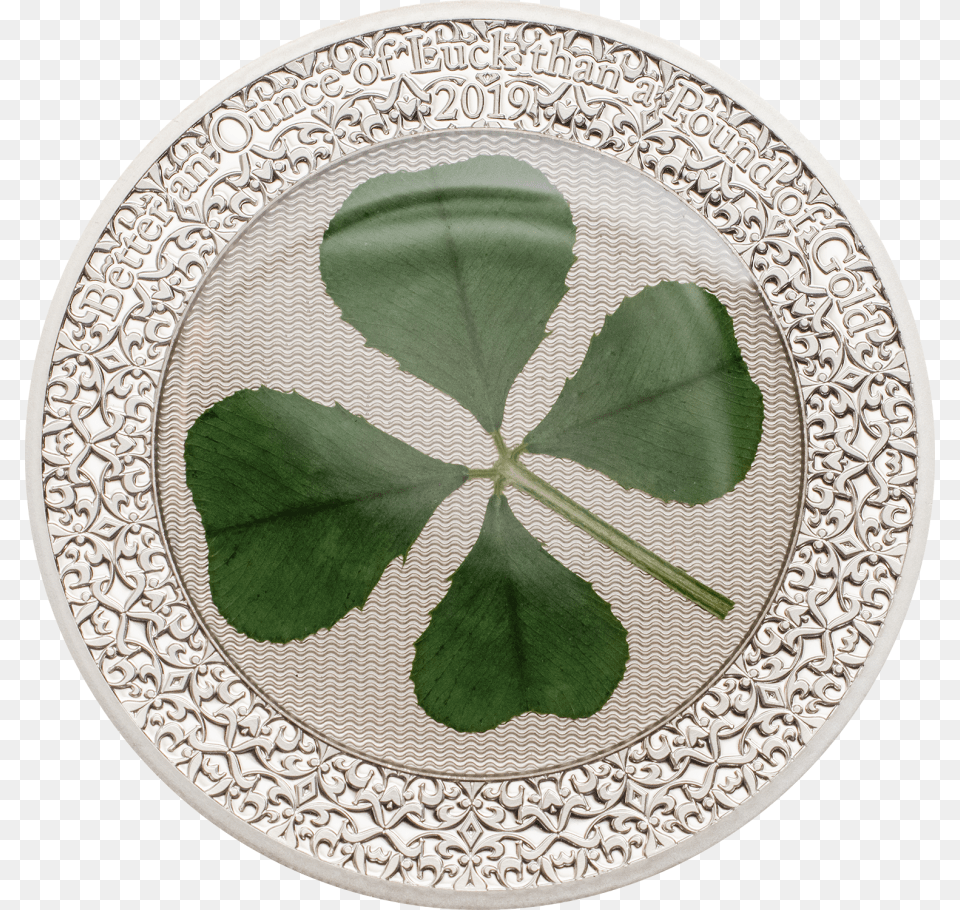 Real St Patrick39s Day Clover 4 Leaf, Herbal, Herbs, Plant, Plate Png