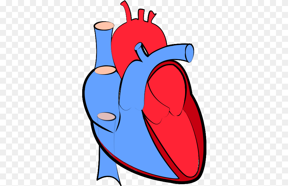 Real Heart, Water Free Transparent Png