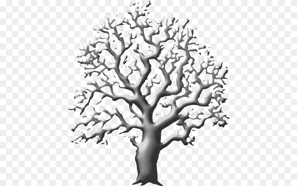 Real Tree Clip Art Black And White, Animal, Nature, Outdoors, Reef Free Png