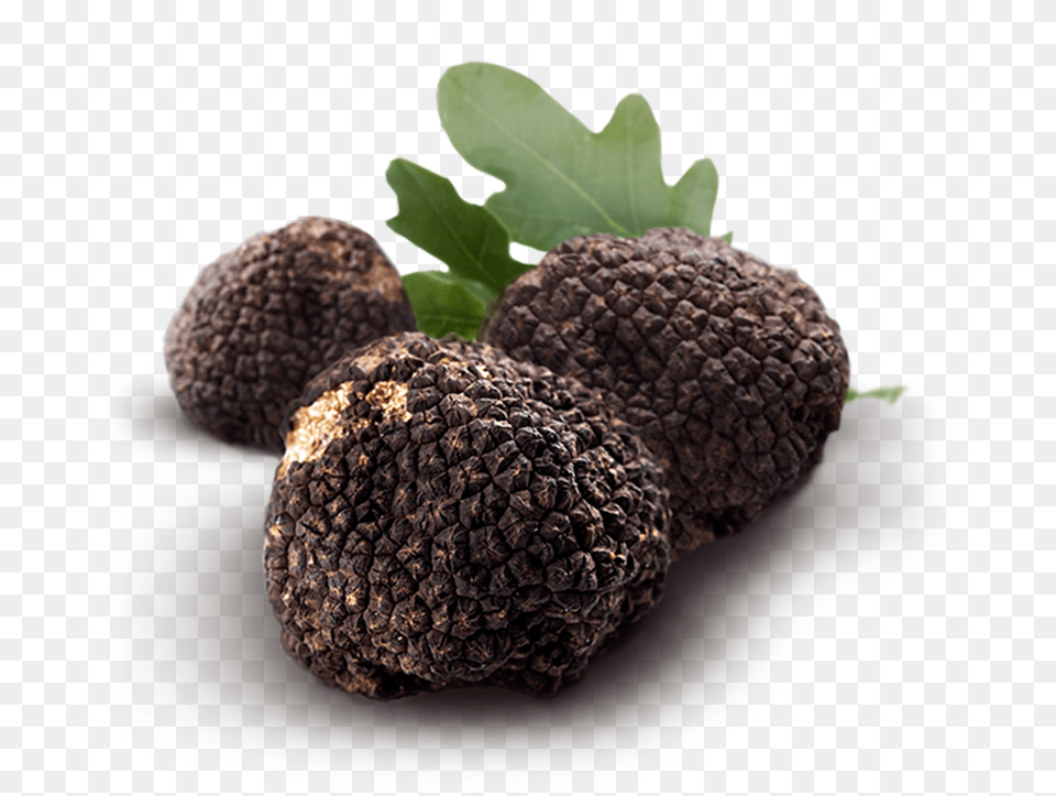 Real Truffle In Ground, Food, Produce Png