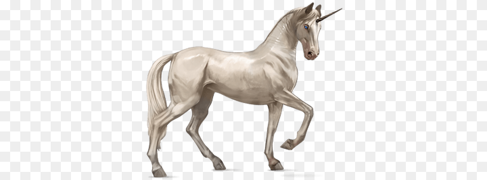 Real Unicorn, Animal, Horse, Mammal, Stallion Free Png