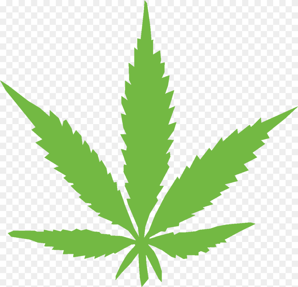 Real Weed Leaf Images Collection Light Green Marijuana Leaf, Plant, Person, Hemp Free Png Download