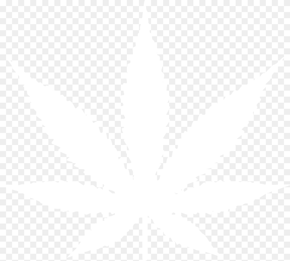 Real Weed Leaf White Weed Leaf, Plant, Person, Stencil Free Png