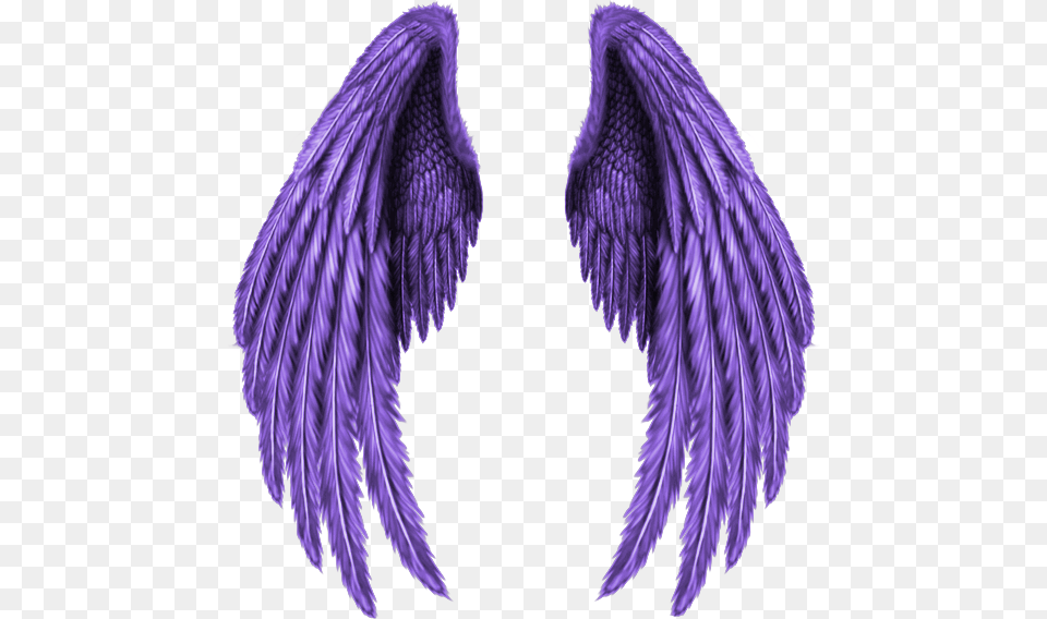 Real Wings Angle Wing Fly Black Bright Fantasy Transparent Broken Angel Wings, Adult, Female, Person, Woman Png