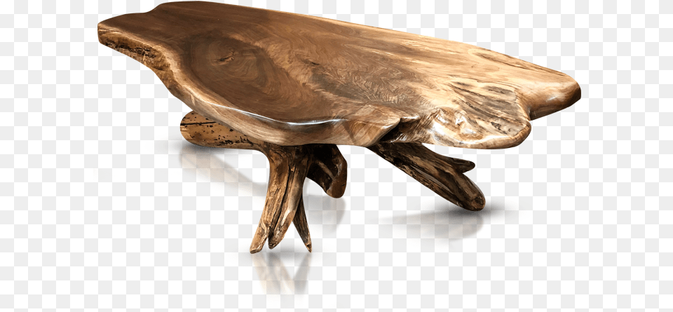 Real Wood Log Table, Coffee Table, Furniture, Animal, Bird Png Image