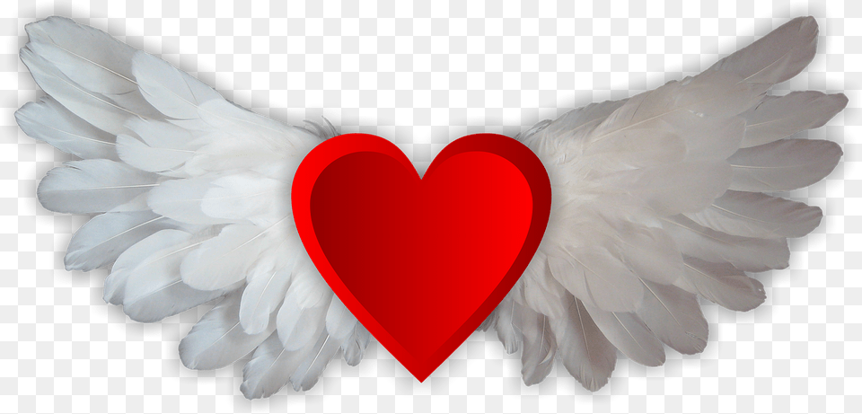 Realistic Angel Wings, Symbol, Animal, Bird Free Transparent Png